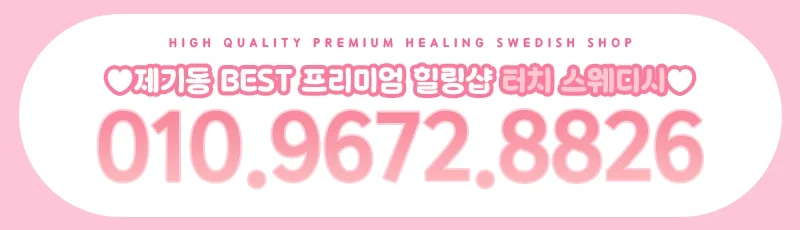 터치스웨디시 사진 5