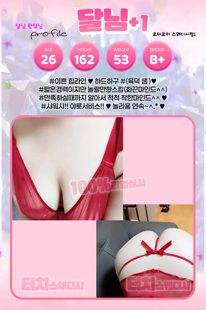 터치스웨디시 사진 8