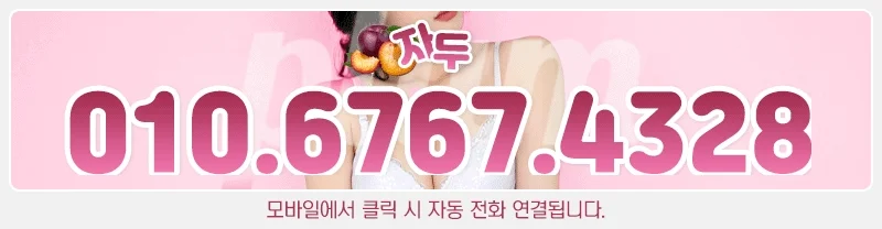 자두 사진 10