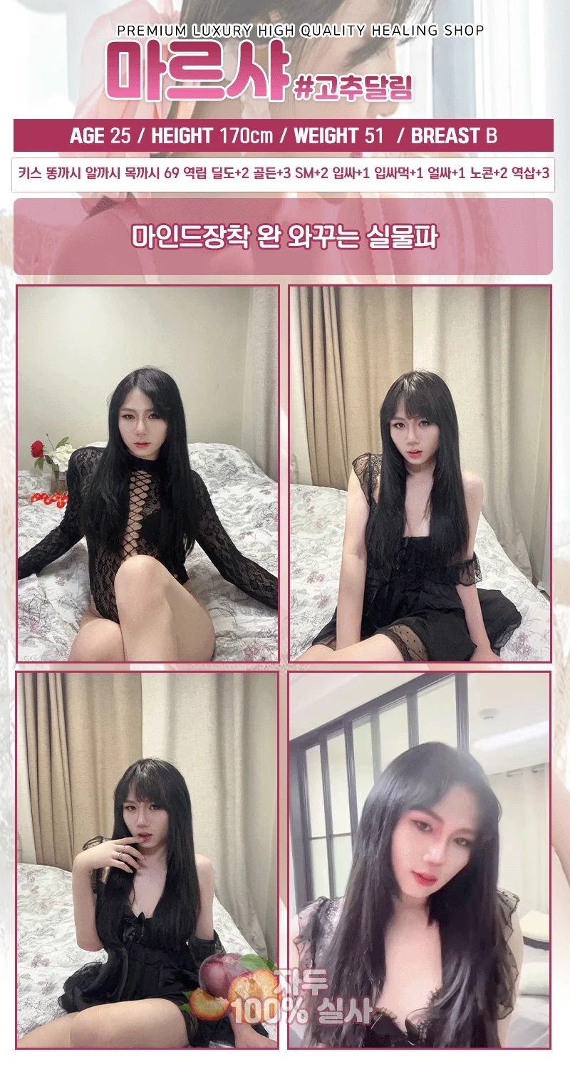 자두 사진 14