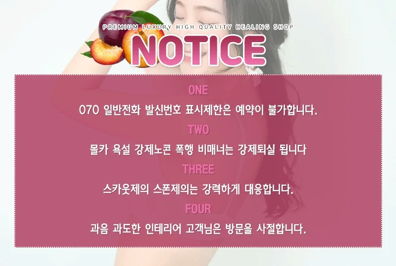 자두 사진 16