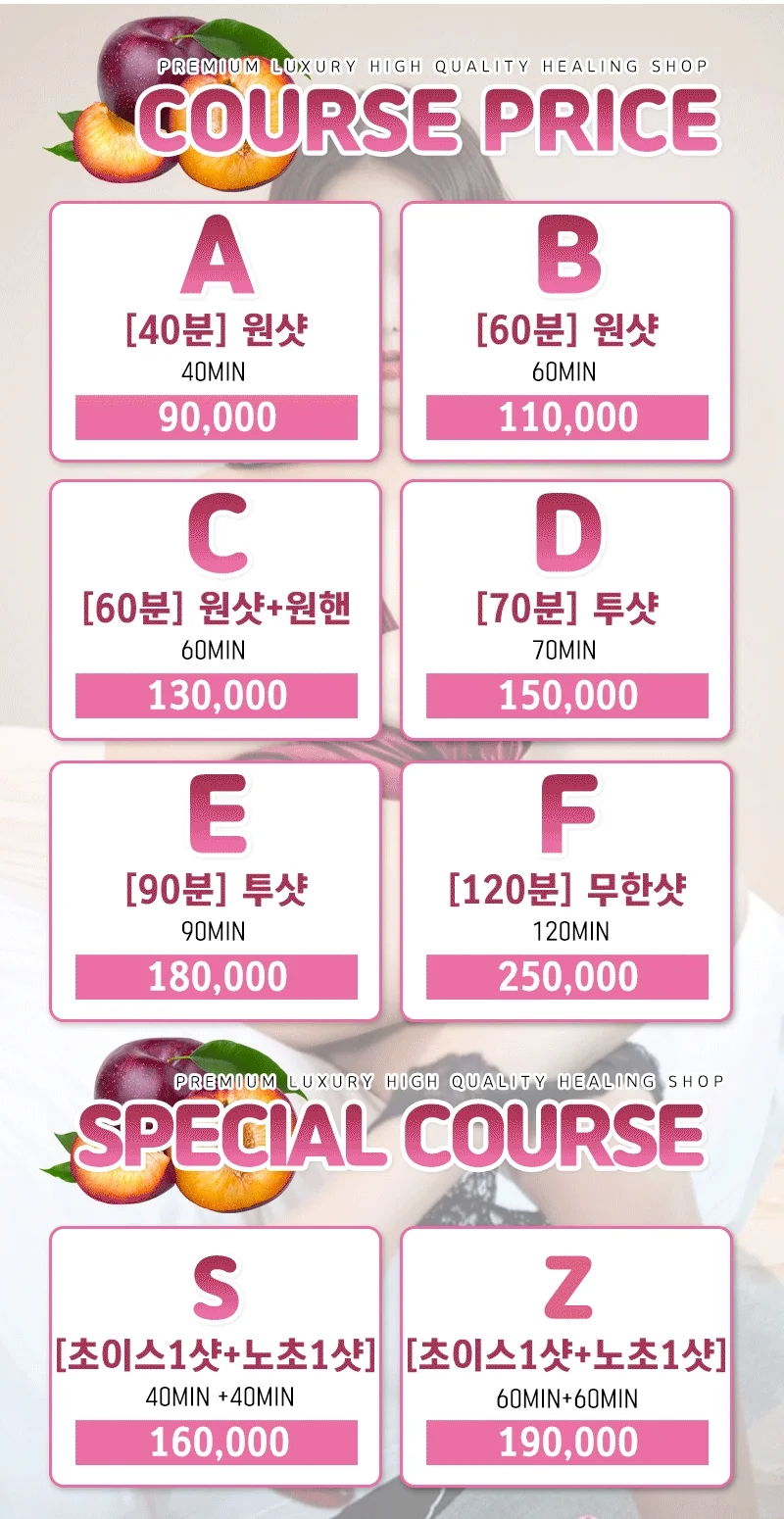 자두 사진 9