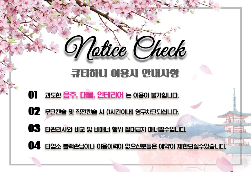 큐티하니 사진 3