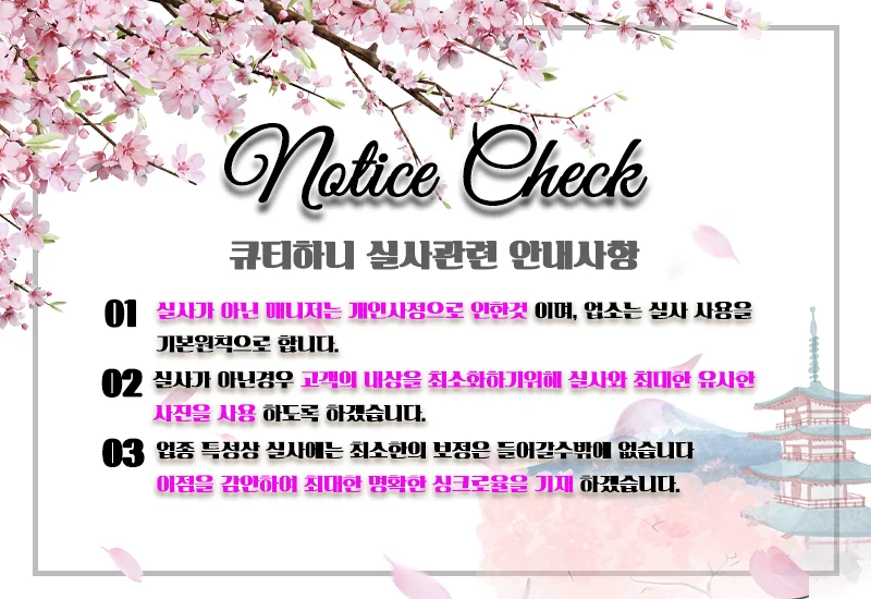 큐티하니 사진 4